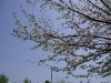 _IGP3336