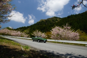 mas2015spring