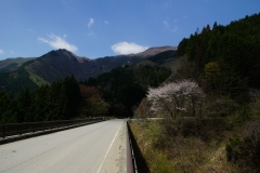 DSC04884