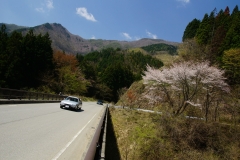 DSC04971