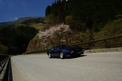DSC05126