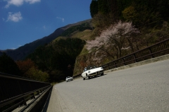 DSC05139