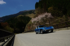DSC05184
