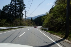 DSC05231