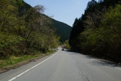 DSC05234