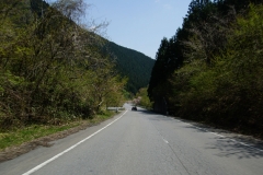 DSC05235
