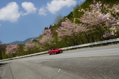 DSC05241