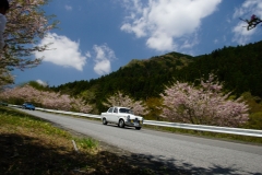 DSC05243