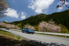 DSC05244