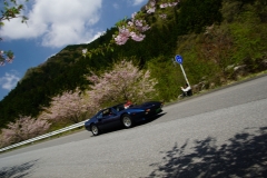 DSC05249
