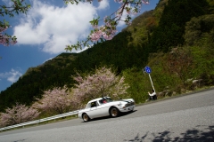 DSC05250