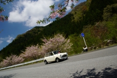 DSC05251