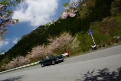DSC05252