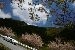 DSC05267