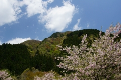 DSC05305