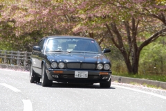 DSC_0435