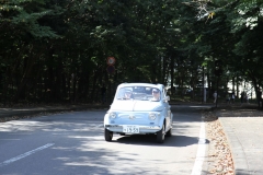 Marronnier2017Autumn72