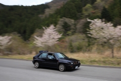 IMG_4579
